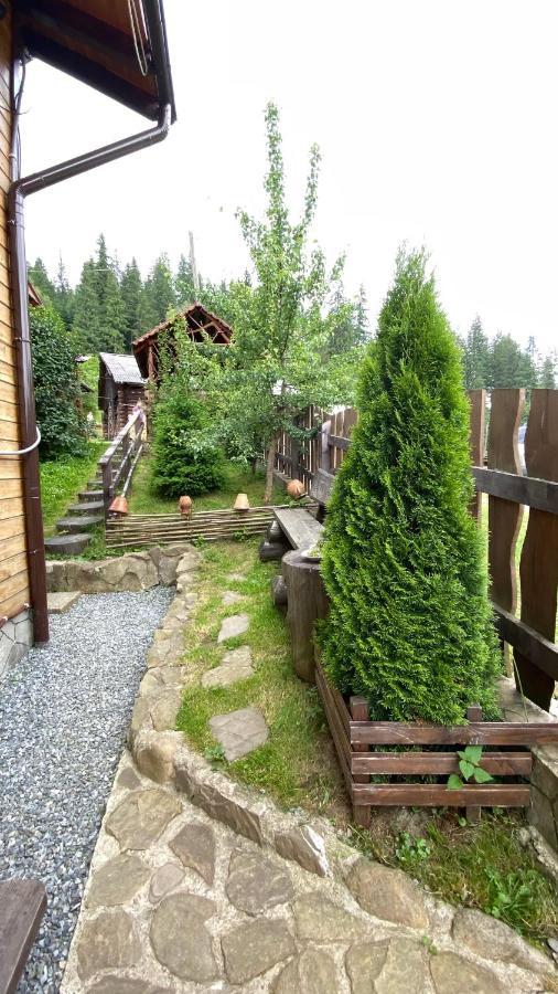Котедж Віадук Vorokhta Ngoại thất bức ảnh
